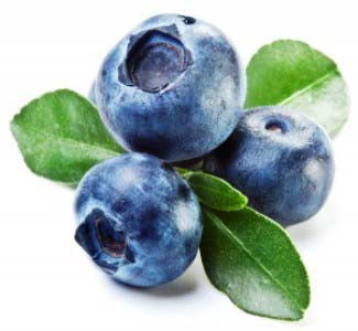 Quadratini, Blueberry-Yogurt Wafer 7.76oz