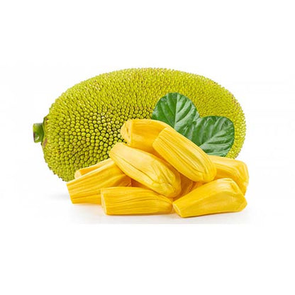 Jans Buah Dried Jackfruit